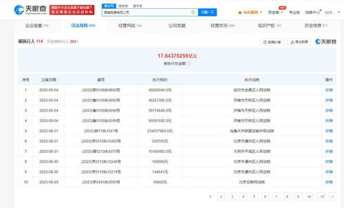 國美電器新增多條被執行人信息，被執行總金額超17億元
